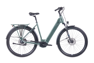 LEVIT BELECO 5 Low sage (M)