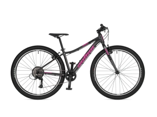 Author Limit 27,5 2026 (14")