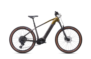 CRUSSIS e-Atland 10.11-(715 Wh) (17)